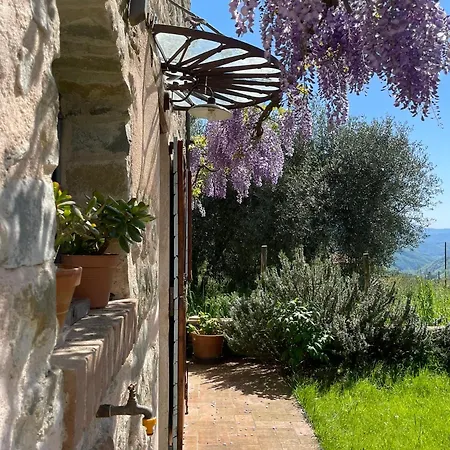 Holiday home Tuscan - Capanna Dei Muli *