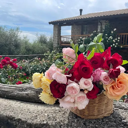 Tuscan - Capanna Dei Muli Regnano (Massa-Carrara)